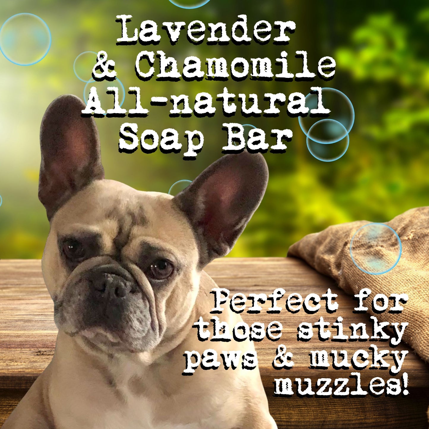Calm Pooch Dog Soap
