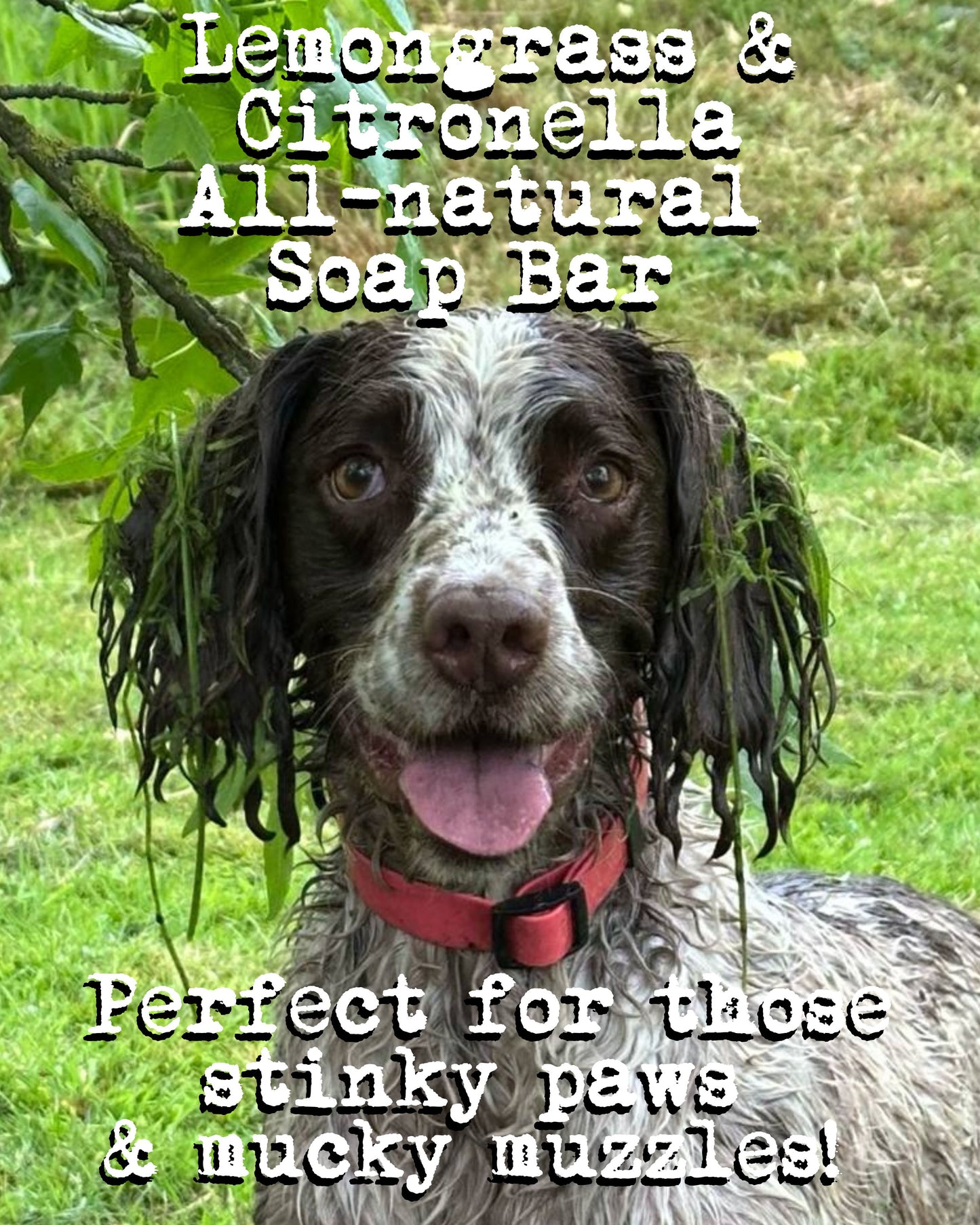 Mucky Paws Dog Soap